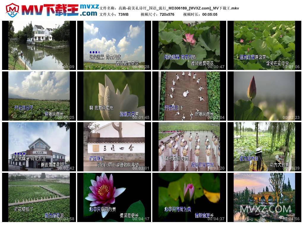 高旖-荷美礼诗圩_国语_流行_MD306189